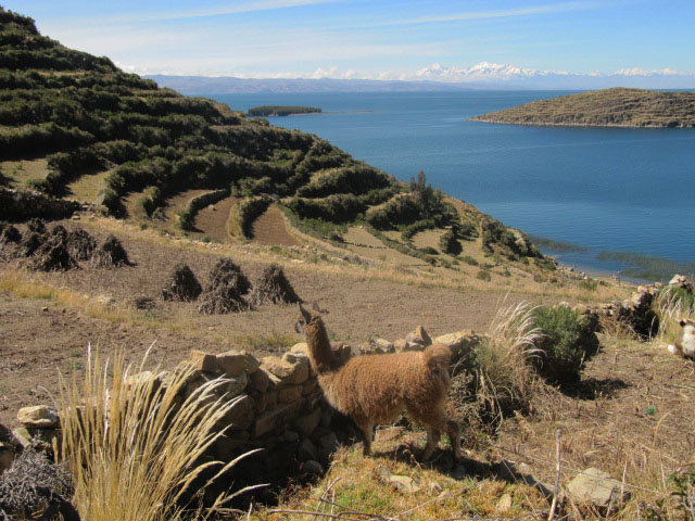 isla del sol bolivia