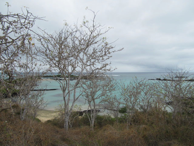 galapagos islands