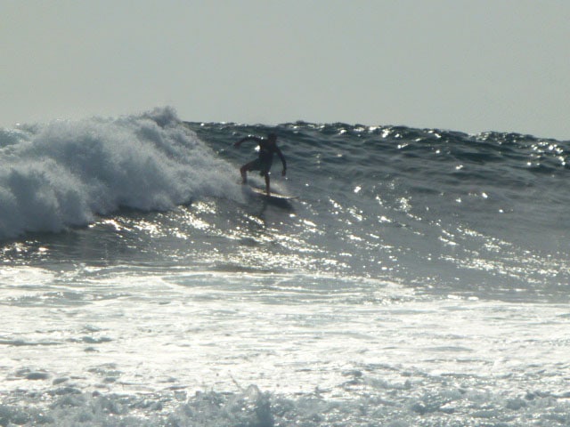galapagos surf