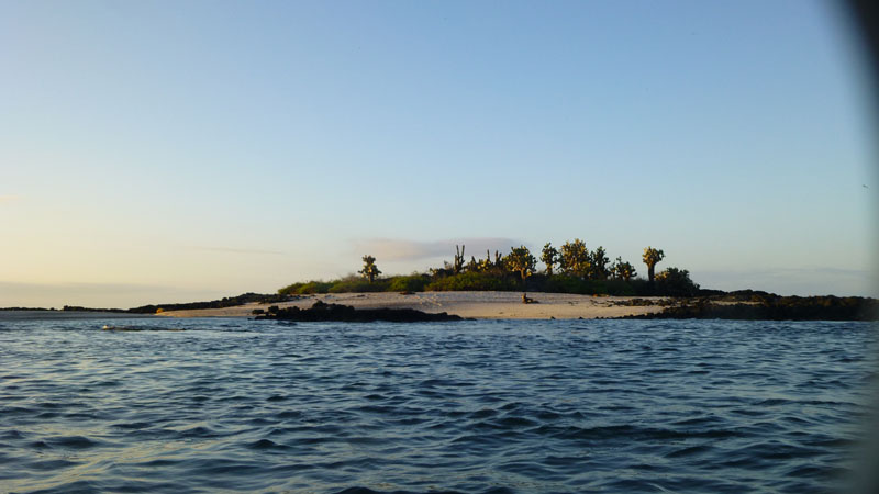 Galapagos islands