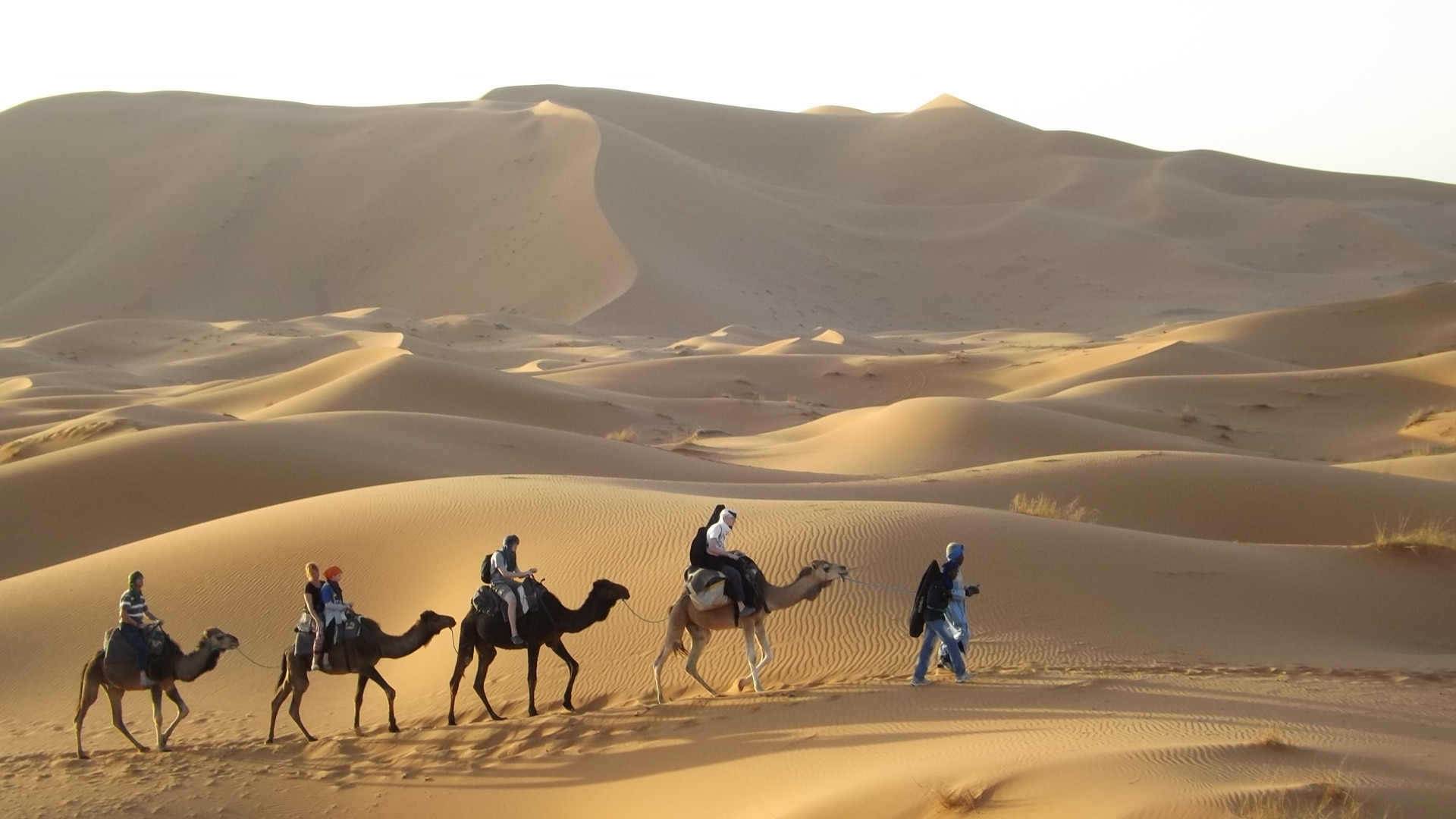 arab african travel