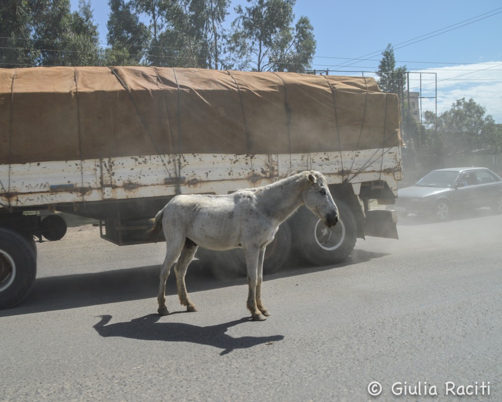 strade di Addis Ababa