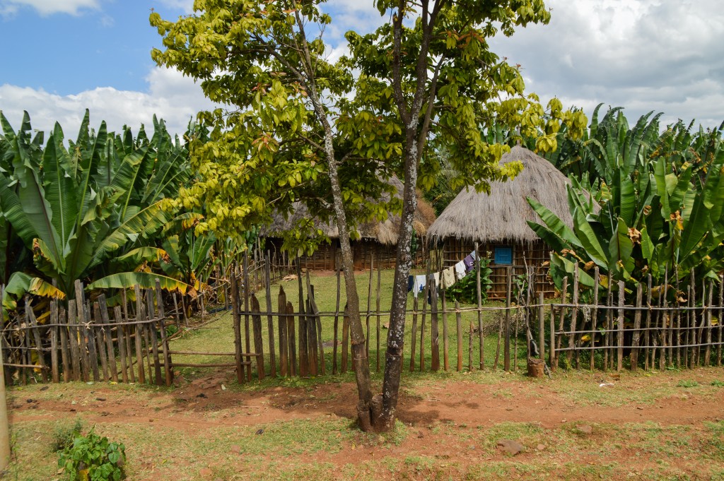 Tipiche capanne etiopi - Tukul