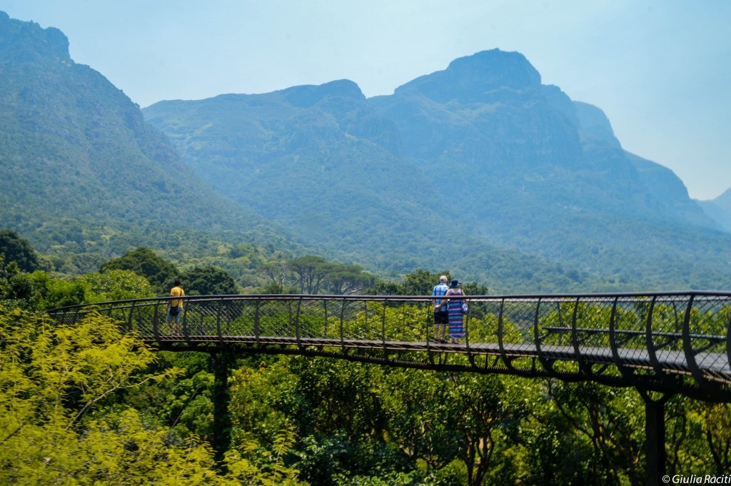 Kirstenbosch National Botanical Garden