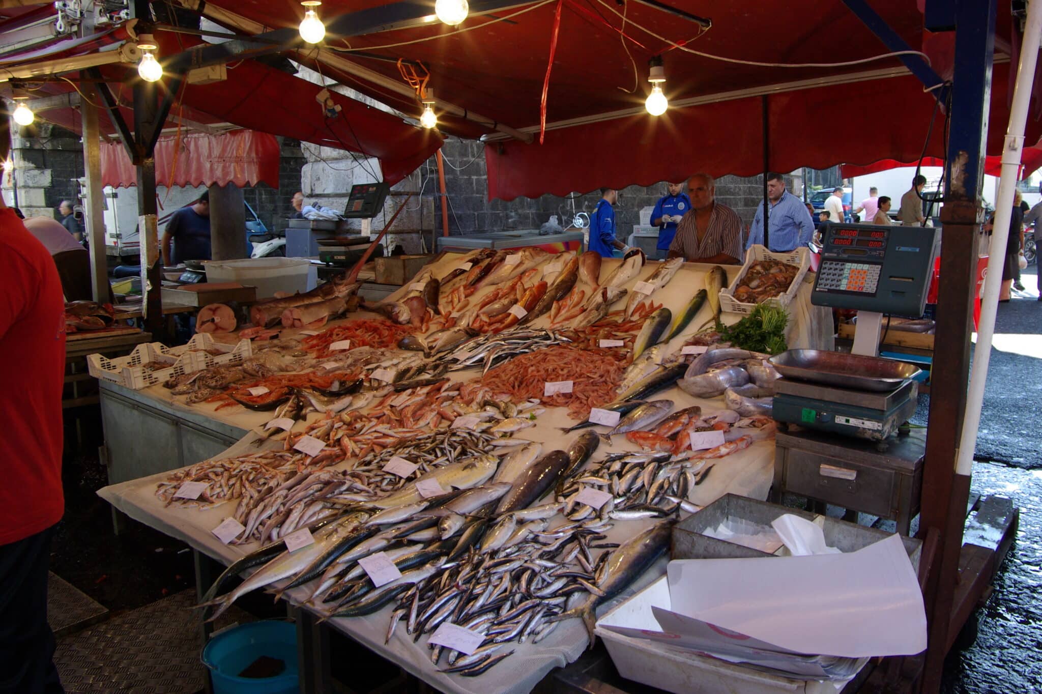 mercato pesce catania