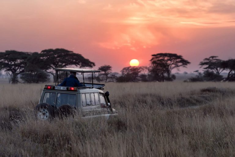 safari nel Serengeti in Tanzania
