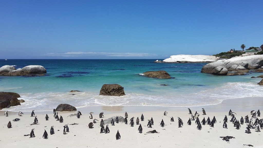 cape town