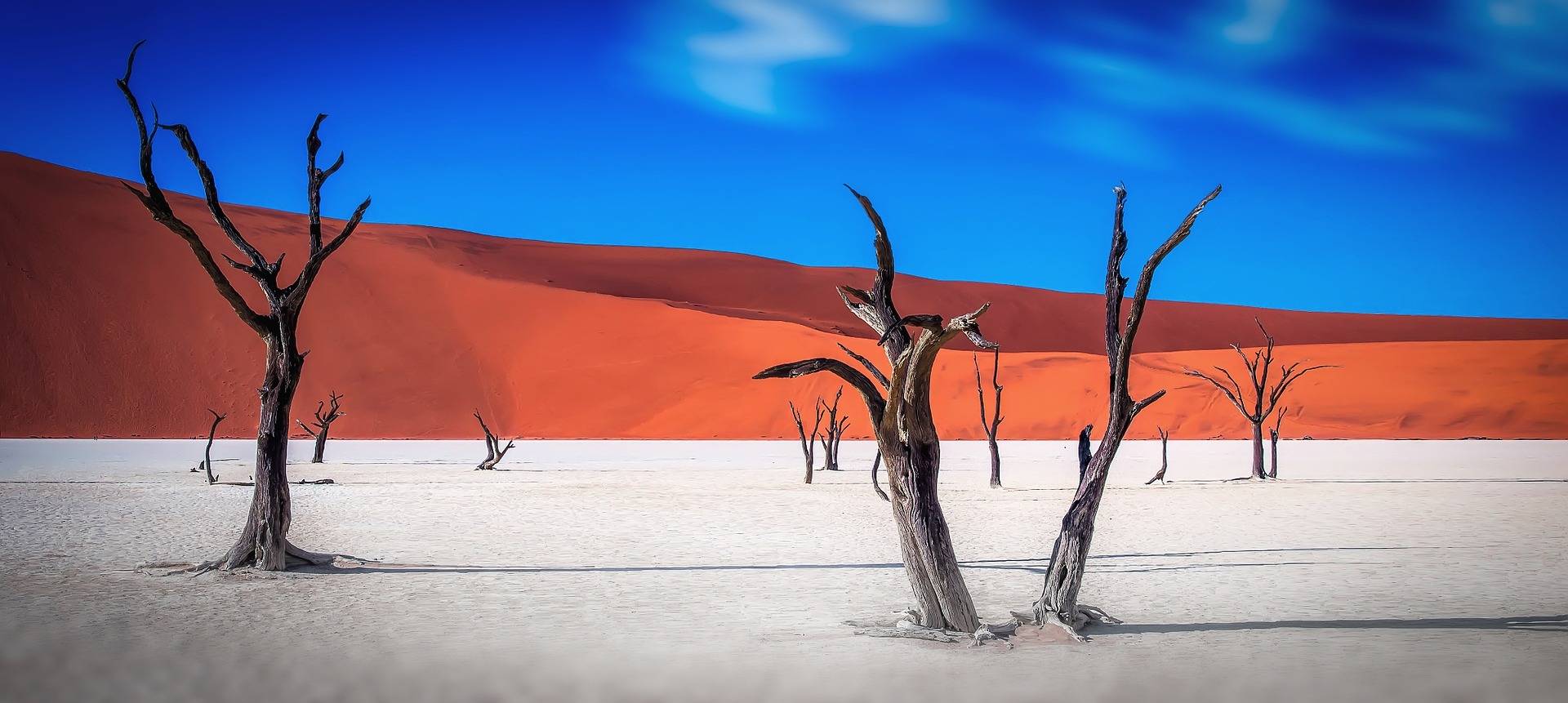 Dedvlei Namibia deserto