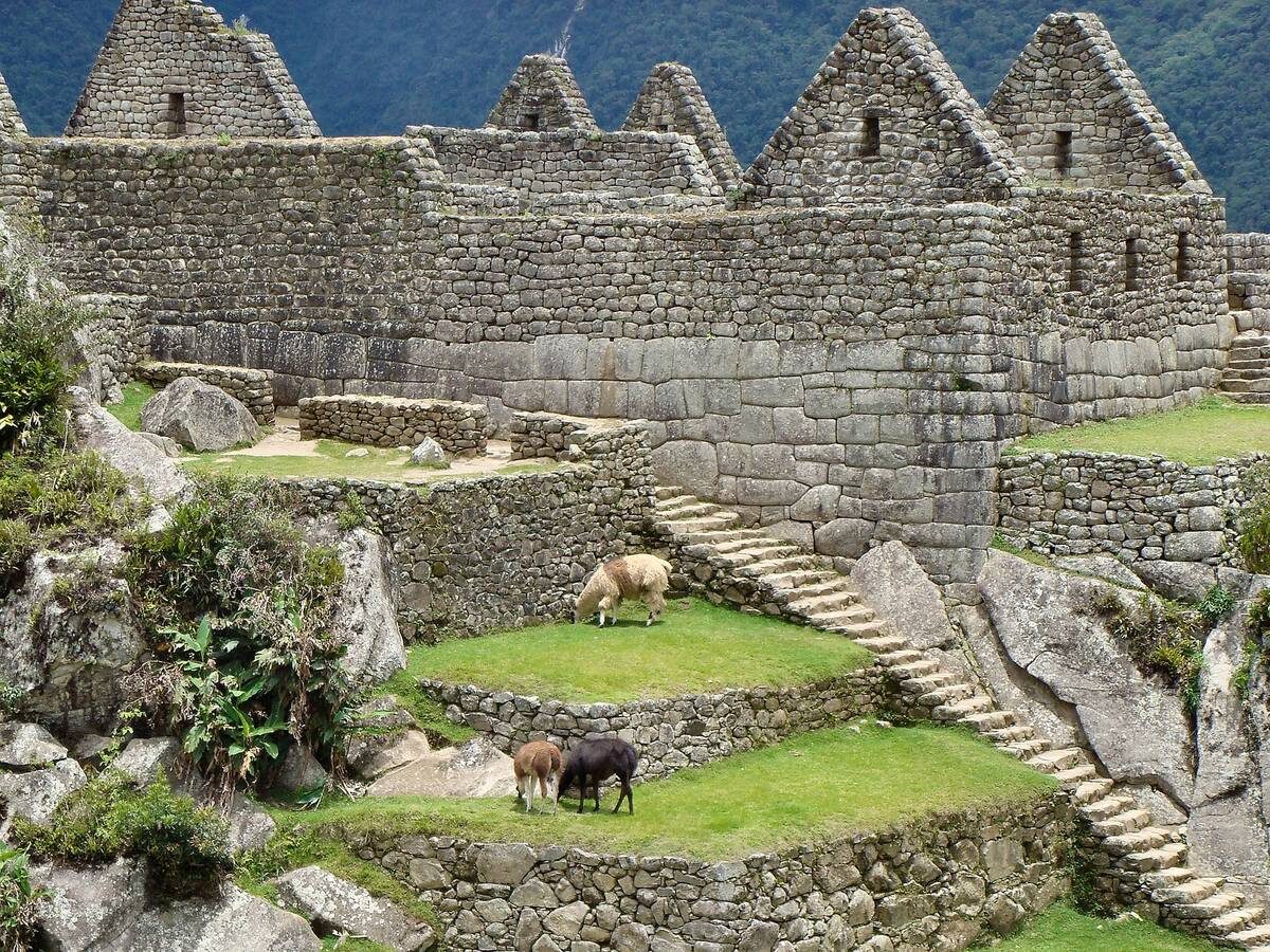 Passeggiando per Machu Picchu