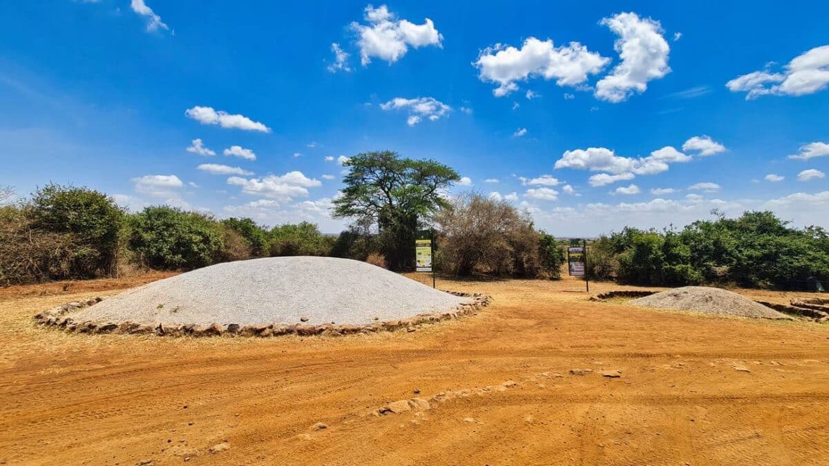 Ceneri corni rinoceronte nairobi