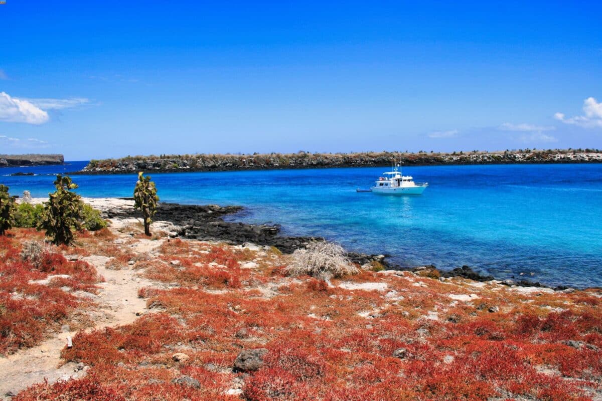 isola Plaza Galapagos