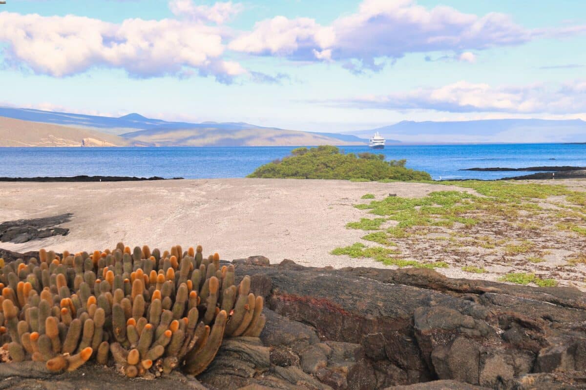 natura delle Galapagos