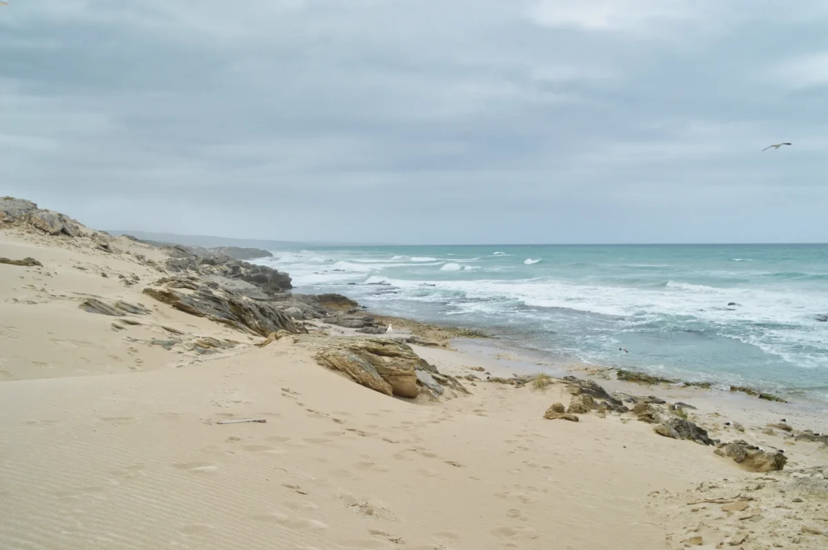 De Hoop National Reserve