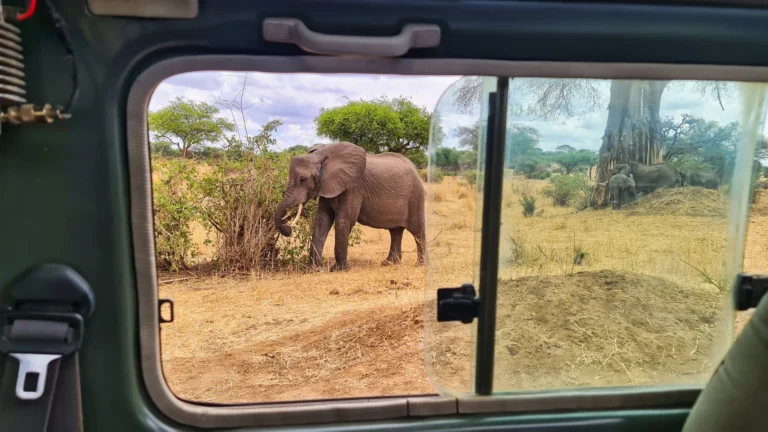 4x4 safari tanzania