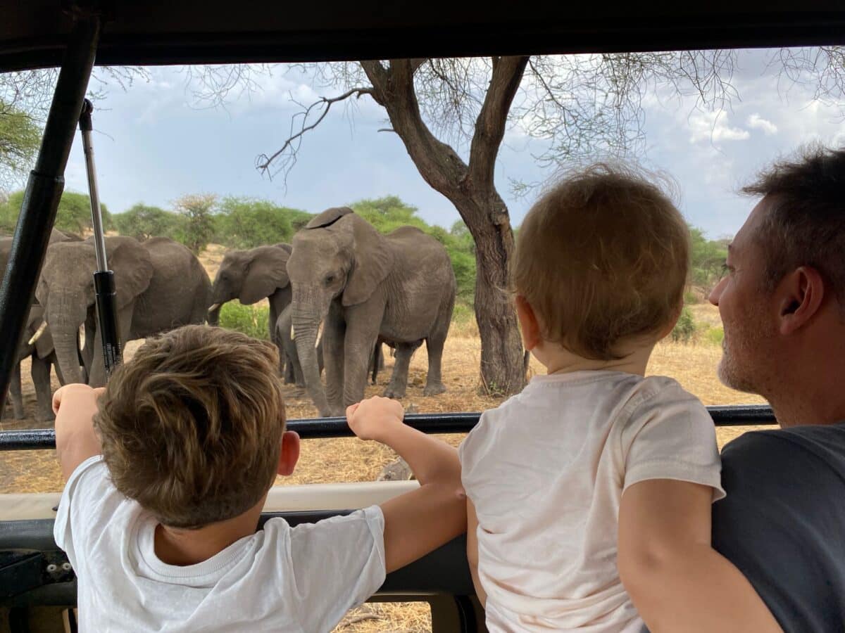 Bambini in safari