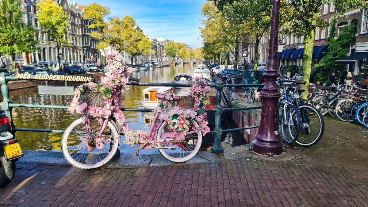 bici rosa canali di amsterdam